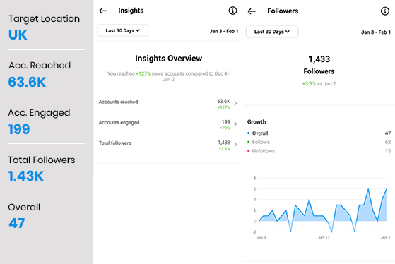 Insights Overview Followers