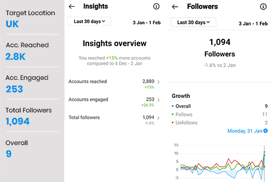 Insights Overview Followers